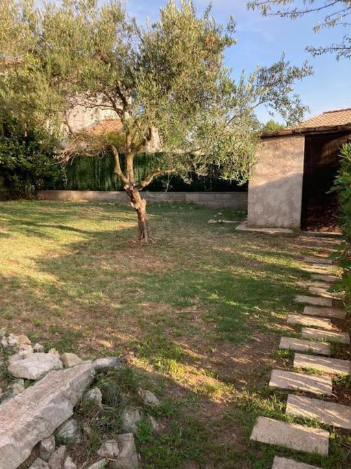 Le Clos Roby Maison Avec Piscine Proche Du Centre Historique Pézenas Eksteriør billede